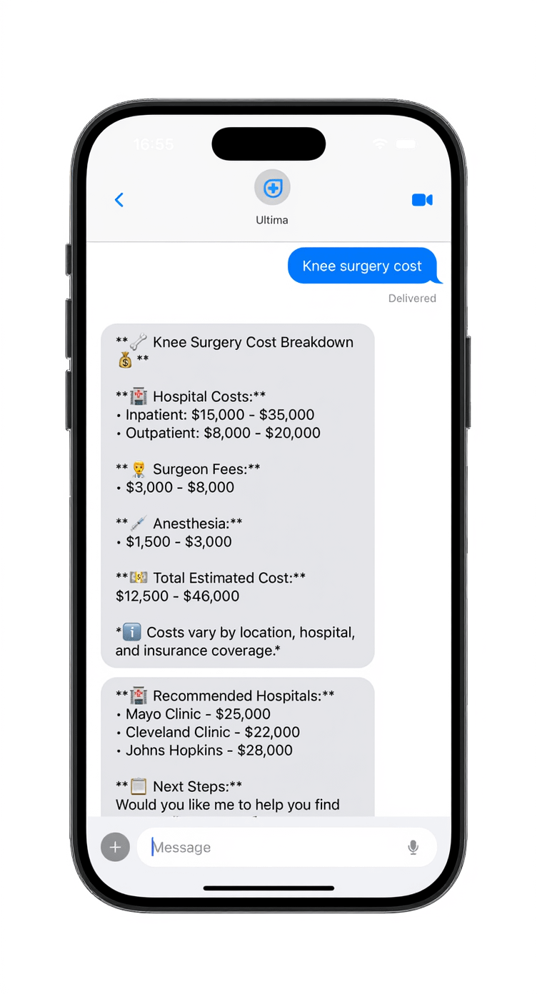 SMS Chat Interface
