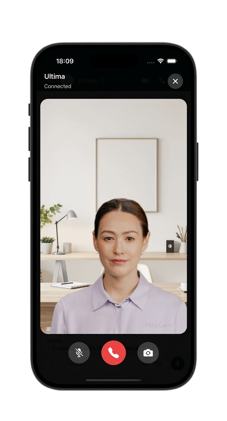 Video Call Interface